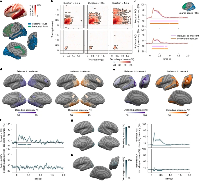 A research figure compares different brain regions to see where information about what someone is consciously seeing can be decoded most accurately, showing stronger decoding in posterior regions than in prefrontal areas